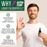 Chlorophyll Liquid Drops 6000 mg - Premium Liquid Chlorophyll Organic Energy Supplements - Pure Green Antioxidant for Immune System, Energy Levels, Digestion & Skin - Non-GMO, Vegan