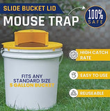 DYMPORT Mouse Trap Bucket, Pack of 3-Auto Reset Mouse Trap for Indoor and Outdoor Usage, Bucket Mouse Trap 5 Gallon Bucket Compatible