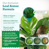 Leaf Armor by Houseplant Resource Center | Natural Indoor Plant Leaf Shine Spray for Fiddle Leaf Fig, Ficus Audrey, Monstera and Other houseplants (8 Fluid Ounces)