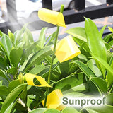 Garsum 42 Traps Sticky Houseplant Traps Gnat Yellow Insect Trap Indoor Fruit Fly Stakes Trap