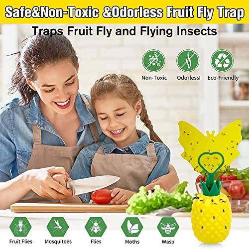 Fruit Fly Trap for Indoors, Effective Fruit Fly Catcher Gnat Killer with 24 Yellow Stickers, Upgrade Gnat Traps for House Indoor with Bait, Non-Toxic Reusable Easy to Use Fly Trap for Kitchen - 4 Pack