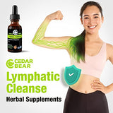 Cedar Bear - Lymphatic Cleanse Immune Support Supplement, Alcohol-Free Lymphatic Drainage Drops with Immune-Enhancing Natural Herbs, Liquid Herbal Supplements, 2 fl oz