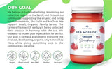 TrueSeaMoss Wildcrafted Irish Sea Moss Strawberry and Elderberry Bundle Organic Raw Seamoss Rich in Minerals, Proteins & Vitamins