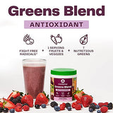 Amazing Grass Greens Blend Antioxidant: Super Greens Powder Smoothie Mix with Organic Spirulina, Beet Root Powder, Elderberry & Probiotics, Sweet Berry, 60 Servings (Packaging May Vary)