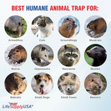 LifeSupplyUSA Humane Live Animal Trap - Catch and Release 1-Door Cage Trap for Rats, Feral Cats, Raccoons, Rabbits, Skunks, Squirrels, Similar Sized Animals - No Kill Easy Trapping (24"x7"x7")