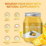 OALSE Sea Moss Gel - Natural Seamoss & Real Fruit Higher Absorption Rate Than Capsule 18.5 Ounce Sea Moss Gel Pineapple,Take 1 Tablespoon Per Day