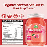 Sea Moss Gel, 18.5OZ Organic Raw Wildcrafted Irish Seamoss Gel Immune and Digestive Support Vitamin Mineral Antioxidant Supplements, Peach