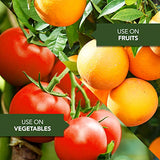 BioAdvanced Fruit, Citrus & Vegetable Insect Control, Concentrate, 32 oz