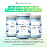 TrueSeaMoss Wildcrafted Irish Sea Moss Gel – Nutritious Raw Seamoss Rich in Minerals, Proteins & Vitamins – Health Supplement, Vegan-Friendly Made in USA (Blue Spirulina)