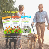 ZeniPower Extra High Power Cochlear Implant BTE Speech Processor Batteries Zinc Air 1.4V Size 675P, 675CI, Implant Plus (120 Batteries)