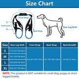 ROZKITCH Pet Dog Support Harness Rear Lifting Harness Veterinarian Approved for Old K9 Helps with Poor Stability, Joint Injuries Elderly and Arthritis ACL Rehabilitation Rehab L Blue