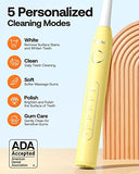 Bitvae Ultrasonic Electric Toothbrush with 8 Brush Heads, Rechargeable Electric Power Toothbrush for Adults and Kids with a Holder, 5 Modes, Smart Timer, Lemon Yellow D2