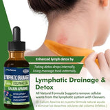 Nurbetoxa Cleavers Lymphatic Drainage Drops for Lymph Detox Cleanse, Gotas de Equinacea y Diente de Leon para Drenaje Linfatico, Lymphedema Support Formula with Echinacea, Use with Massage Tool. 4oz