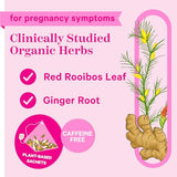 Pink Stork Organic Morning Sickness Pregnancy Tea - Prenatal Heartburn, Indigestion, and Constipation Support - 1st Trimester Pregnancy Must Haves, Caffeine-Free - Ginger Peach, 15 Sachets