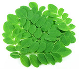 Kiva Organic Moringa Leaf Powder - Non-GMO and RAW - (1 Pound)