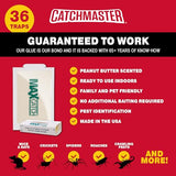 Pest Glue Trap by Catchmaster - 36 Boards Pre-Baited, Ready to Use Indoors. Rodent Mouse Rat Insect Sticky Adhesive Simple Easy Simple Non-Toxic - Made in the USA