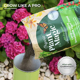 Organic Plant Magic - Truly Organic™ Slow Release Granular Fertilizer : Long-Lasting Plant Food Granules for All Indoor & Outdoor Flowers, Vegetable Gardens, Herbs, Fruit Trees, Shrubs, Lawns & House Plants [One 4 lb Bag]