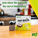 RESCUE! Ant Baits – Indoor Ant Killer, Ant Trap Alternative - 4 Pack (24 Bait Stations)