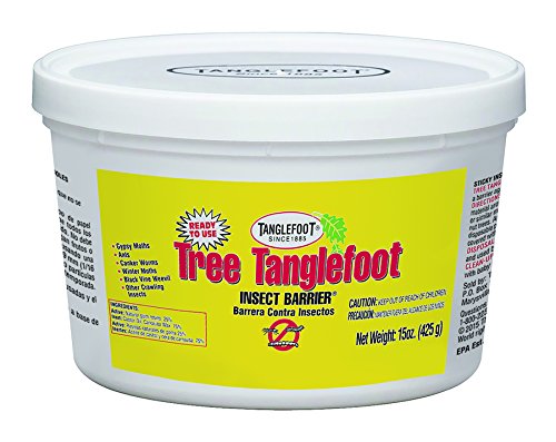 Tanglefoot Insect Barrier (Tub), 15 oz.