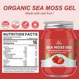 OALSE (18.5 OZ Organic Sea Moss Gel Strawberry Flavor - Natural Seamoss Gel with 92 Minerals and Vitamins - Non-GMO, Gluten-Free, Vegan - Immune Defense Thyroid Digestive Support