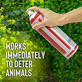 Messina Wildlife Squirrel Stopper Repellent - Safe & Effective, All Natural Food Grade Ingredients; Repels Squirrels and Chipmunks; Ready to Use, 15 oz. Spray Can