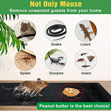 10 Pack Sticky Mouse Trap, Super Large 47.2 * 11'' Glue Traps for Mice and Rats Traps Indoor for Home, Rodent Snakes Spiders Roaches