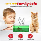 Utopia Home Humane Mouse Traps Indoor for Home (Pack of 4) - Green Reusable Mice Traps for House Indoor - Pet Safe Mouse Trap Easy to Set, Quick, Effective, & Safe Rodent Trap