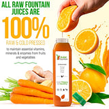 1 Day Juice Cleanse by Raw Fountain, Tropical Flavors, All Natural Raw, Cold Pressed Fruit and Vegetable Juices, Detox Cleanse, 6 Bottles 12oz, 3 Bonus Ginger Shots