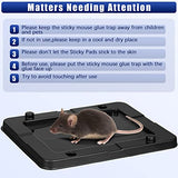 24 Pack Large Baited Glue Traps Sticky Mouse Trap Rat Traps Indoor Rodent Killer Baited Trays Rat Mouse Exterminator Plastic Sticky Non Toxic Mice Trap for Home Indoor Outdoor Mice Rats Snake Rodent