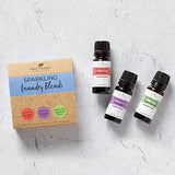 Plant Therapy Sparkling Laundry Essential Oil Blends Set of 3, Peppermint, Grapefruit & Lavender, Pure, Undiluted, Wash Fragrance and Scent Enhancer