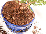 Bonsai Soil by Perfect Plants - 8qts. Premium All-Purpose Mix | Perfect for Several Bonsai Tree Plants | Made in Small Batches in The USA