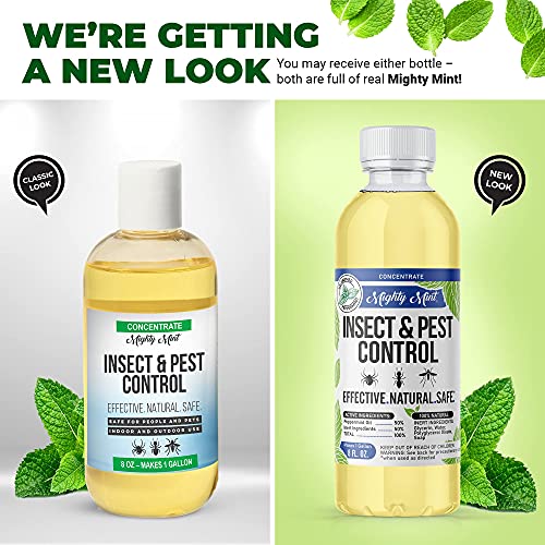 Mighty Mint Insect & Pest Control Peppermint Concentrate 8 oz Makes