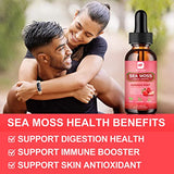 B BEWORTHS Sea Moss Liquid Drops - Organic Irish Sea Moss Gel with Burdock Root Supplement, Seamoss Gel for Immune Support, Joint & Thyroid Support, Detox Cleanse & Digestion Support