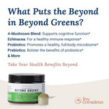 Live Conscious Beyond Greens Concentrated Superfood Powder - Matcha Flavor w/Chlorella, Echinacea, Probiotics for Immune Support & Energy - 30 Servings (2-Pack)