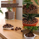 Natural Leca Clay Pebbles, 8LBS 8mm-18mm Expanded Organic Balls Plants Grow Media Gardening Soil for Hydroponics, Drainage, Decoration, Aquaponics