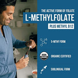 Organic Methyl Folate 1000 mcg + Methyl B12 Cofactor (300 Servings) – Organic Berry Flavor, Liquid Sublingual Form (1oz)