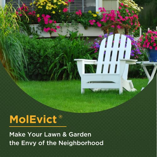 Baar Products - MolEvict Lawn Mole Castor Oil - Lawn & Garden Protection - Up to 20,000 Sq. Ft. of Coverage - 1 Gallon