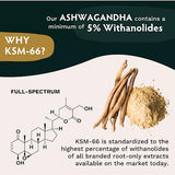 TRIBE ORGANICS Ashwagandha KSM 66 Pure Organic Root Powder Extract Ayurvedic Supplement - Focus, Mood Support, Increase Energy, Strength, 600mg of Natural KSM66 for Superior Absorption - 120 Capsules