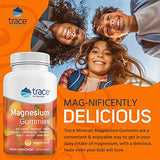 Trace Minerals I Magnesium Gummies (120 Ct) Low Sugar | for Kids & Adults | Tangerine