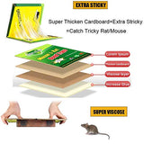 Mouse Traps,RatTraps,Mouse Traps Indoor,Rat Traps for House,Mouse Glue Traps,Mice Traps for House,Sticky Traps, Glue Boards Professional Strength That Work Capturing Indoor and Outdoor Rat