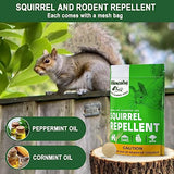 DALIYREPAL Squirrel Repellent Outdoor, Keep Squirrel Away Chipmunk Repellent Outdoor,Squirrels Repellent for Garden, Outdoor Squirrels Repellent for Attic, Squirrel Deterrent Mint -12 Packs