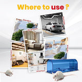 Utopia Home Humane Mouse Traps Indoor for Home (Pack of 4) - Blue Reusable Mice Traps for House Indoor - Pet Safe Mouse Trap Easy to Set, Quick, Effective, & Safe Rodent Trap