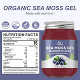 OALSE Irish Sea Moss Gel Organic Raw - Real Sea Moss and Blueberry Mixture Supplement for Immune Support 15 Ounce Nutritious Sea Moss Advanced Gel-Bluberry Flavor