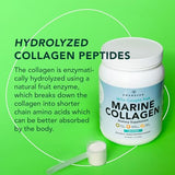 AMANDEAN Marine Collagen Peptides Powder. 500g Wild-Caught Hydrolyzed Fish Collagen Supplement for Women & Men. Type 1 & 3 Collagen Protein. Amino Acids for Skin, Hair, Nails & Graceful Aging.