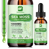 B BEWORTHS Sea Moss Liquid Drops - Organic Irish Sea Moss Gel with Burdock Root Supplement, Seamoss Gel for Immune Support, Joint & Thyroid Support, Detox Cleanse & Digestion Support - 2 Fl Oz, Vegan