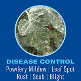 BioAdvanced Houseplant Insect & Mite Control, Ready-to-Use, 24 oz