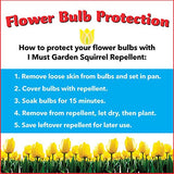 I Must Garden Squirrel Repellent: Protects Vehicles, Plants, Decking, & Furniture – Works on Chipmunks – 32oz Ready to Use