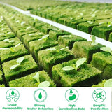 Legigo 1.2" Rockwool Grow Cubes Starter Plugs- Rockwool Stonewool Planting Cubes for Seed Starter Soilless Cultivation Hydroponics, Cuttings, Soilless Culture Plant Propagation(6 Sheet,216plugs Total)