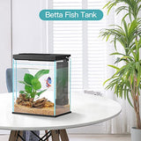 Betta Fish Tank, 2 Gallon Glass Aquarium Starter Kit, Small Fish Tank with Filter and Light.(Black)