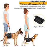 PZRLit Dog Lift Harness - Adjustable Sling Support for Large Dogs Hind Legs, Mobility Aid for Elderly Dogs - Hip & Back Leg Joint Injury Assistant Vest - Help Senior Disabled for Walking,Large,Black